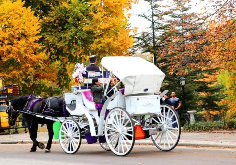 NYC: Central Park Horse-Drawn Carriage Ride (up to 4 Adults) - The Itinerary: Highlights of the Tour