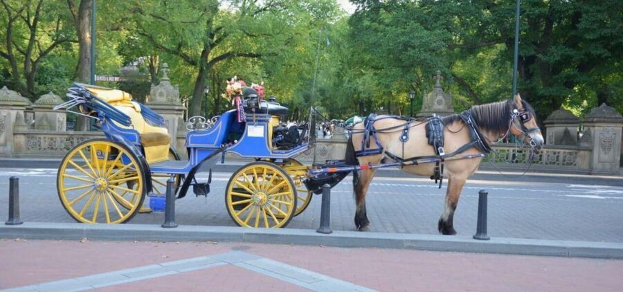 NYC: Central Park Horse-Drawn Carriage Ride - What to Expect from the Ride