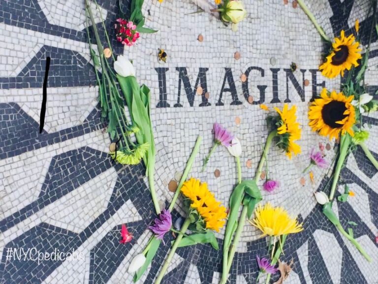 NYC: Central Park Pedicab Highlights Tour - What the Tour Looks Like