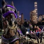 NYC Central Park & Rockefeller Center Private Horse Carriage Tour - Authentic Feedback from Real Travelers