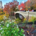 NYC: Central Park Secrets and Highlights Walking Tour - The Sum Up