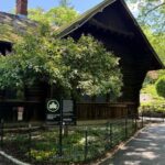 NYC: Central Park Storytelling Pedicab Tour with Theater - What You’ll See and Experience