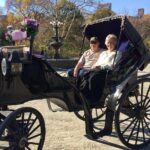 NYC Central Park VIP Horse and Carriage Ride - What the Tour Means for You