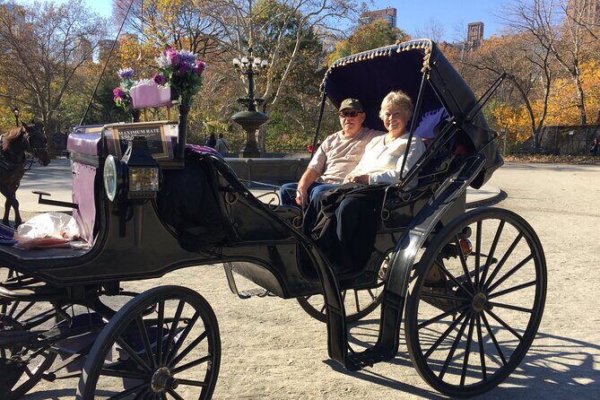 NYC Central Park VIP Horse and Carriage Ride - What the Tour Means for You