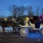 NYC Christmas Light and Rockefeller Center Tour - Who Is This Tour Best For?