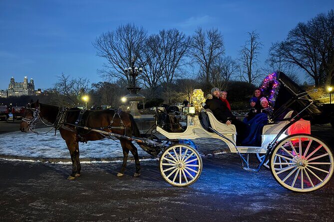 NYC Christmas Light and Rockefeller Center Tour - Who Is This Tour Best For?