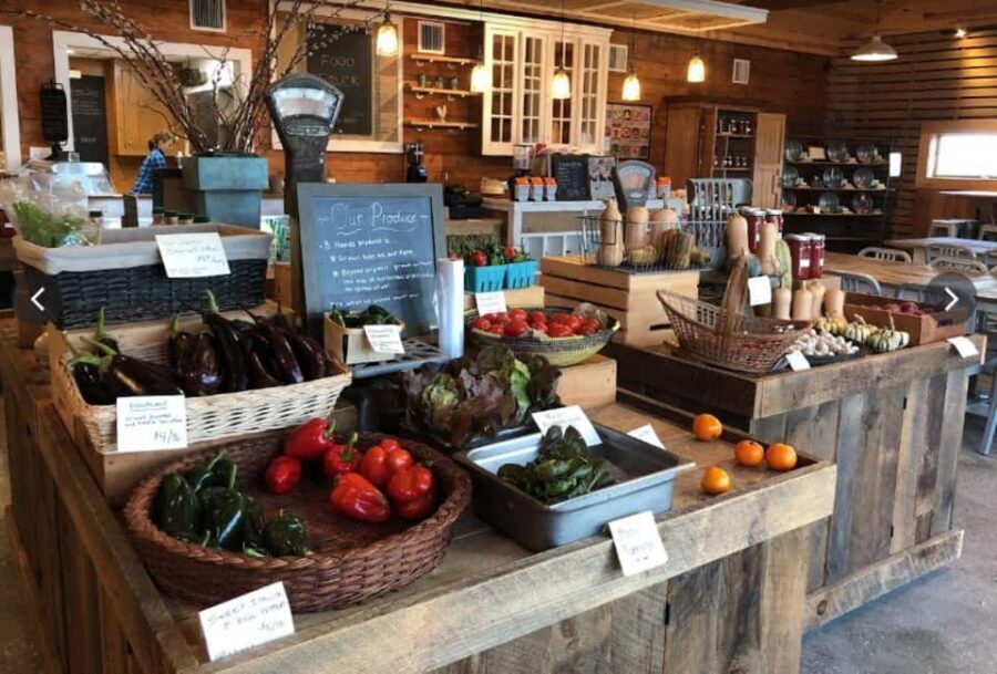 NYC: Classic Wine Country Guided Bike Tour - The Highlights: What Makes It Special