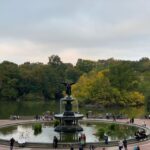 NYC: Empire State Horses Carriage Ride in Central Park - The Experience in Practice