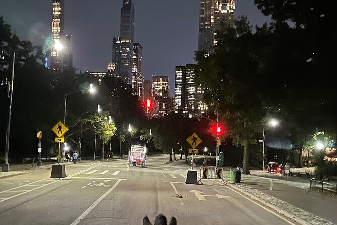 NYC Empire State Horses Carriage Ride in Central Park(55 Min) - Detailed Breakdown of the Itinerary