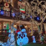 NYC | French guided tour of Christmas in Brooklyn - The Value of This Tour
