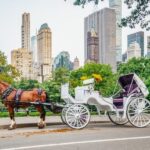 NYC: Guided Central Park Horse Carriage Ride - FAQ