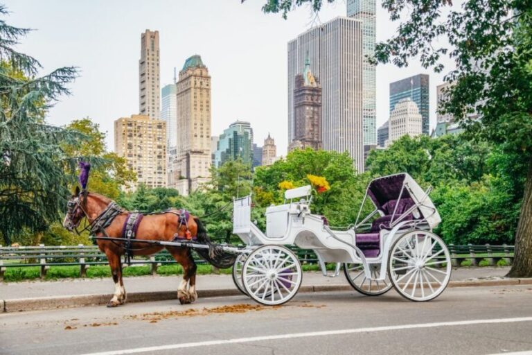 NYC: Guided Central Park Horse Carriage Ride - FAQ