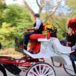 NYC: Guided Standard Central Park Carriage Ride (4 Adults) - Landmark Highlights and Their Charm