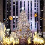 NYC: Holiday Lights and Dyker Heights Luxury Bus Tour - What to Expect on the Tour