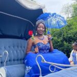 NYC Horse and Carriage Central Park Tours - FAQ