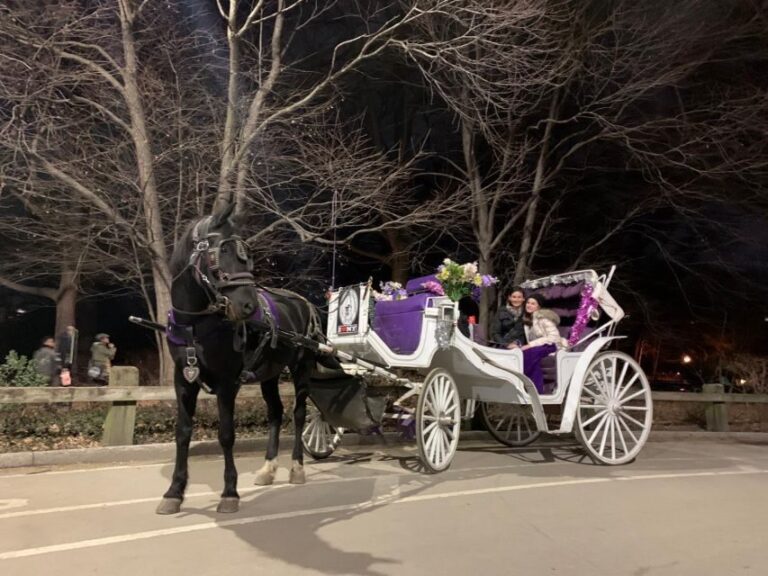 NYC Horse Carriage Ride in Central Park (65 min) - Breaking Down the Stops