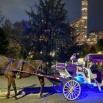 NYC : Magical Christmas Lights Private Horse Carriage Ride - Practical Details and Considerations
