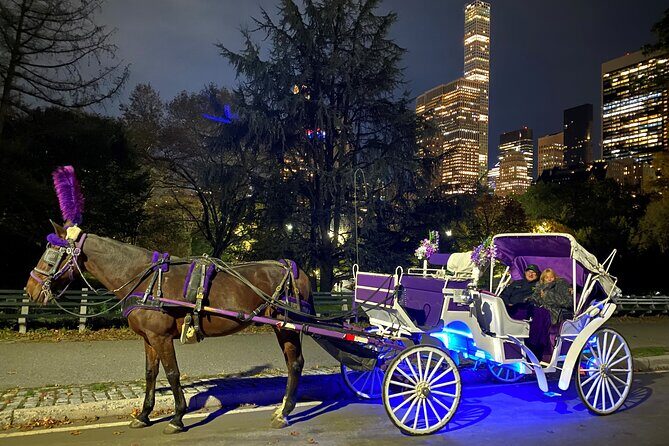 NYC : Magical Christmas Lights Private Horse Carriage Ride - Practical Details and Considerations