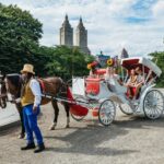 NYC MAGICAL NIGHT TIME RIDE Central Park/Rockefeller Center - Is It Worth the Price?
