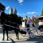 NYC: Private Central Park Horse & Carriage Ride - What’s Included and What’s Not