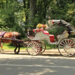 NYC Private Central Park Horse Carriage Ride with Guide - The Practical Details
