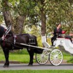 NYC: Private Central Park Horse Carriage Ride with Guide - Final Thoughts