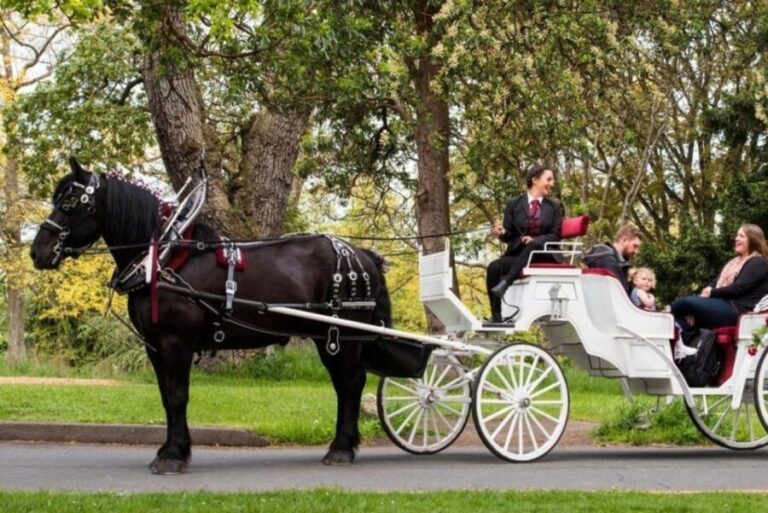 NYC: Private Central Park Horse Carriage Ride with Guide - Final Thoughts