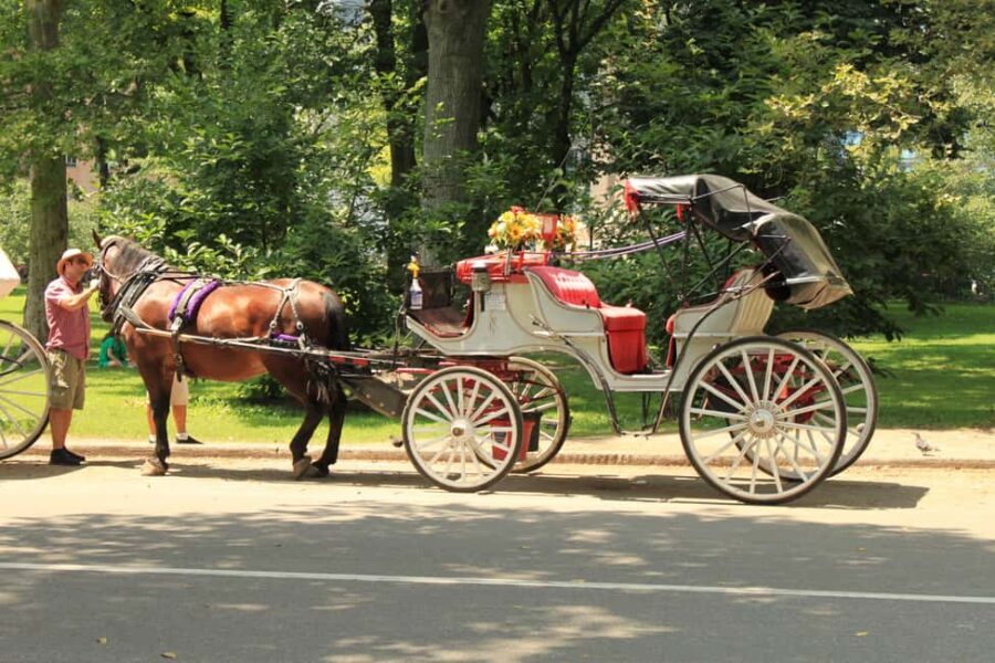 NYC Private Central Park Horse Carriage Ride with Guide - The Practical Details