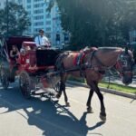 NYC: Private Central Park Horse-Drawn Carriage Tour - A Few Considerations