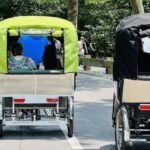 NYC: Private Central Park Pedicab Tours / PICKUP FROM MUSEUM - What You Can Expect on This Tour