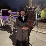 NYC: Private Christmas Lights Horse Carriage Ride - Who Will Love This?