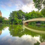 NYC: Private Tour Secrets of Central Park - What to Expect on the Tour