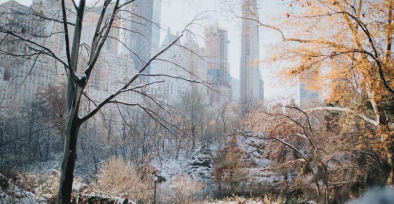 NYC Private Walking Tour with Professional Guide - What Makes This Tour Stand Out