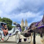 NYC: Romantic Central Park Carriage Experience - Final Thoughts: Is It the Right Choice for You?