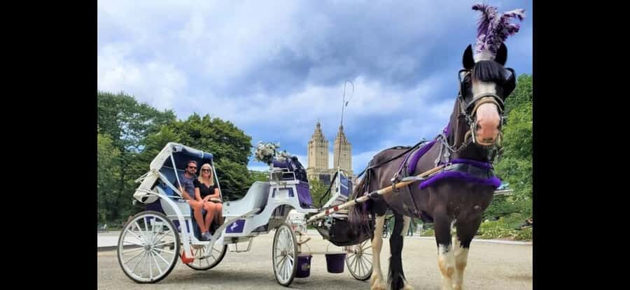 NYC: Romantic Central Park Carriage Experience - Final Thoughts: Is It the Right Choice for You?