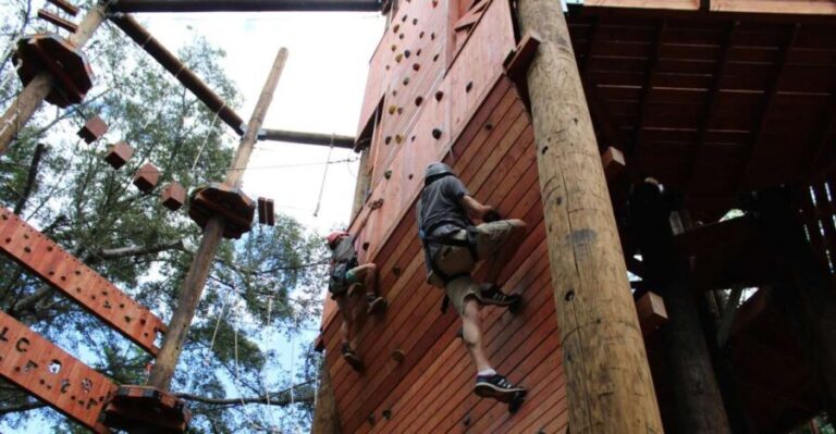 Oahu: Aerial Adventure, Climbing, & Freefall Experience - What to Expect from Your Adventure Day