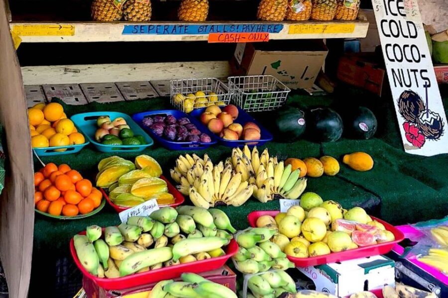 Oahu: Beauty and the Feast Circle Island Experience - The Experience of the Guide and Transportation