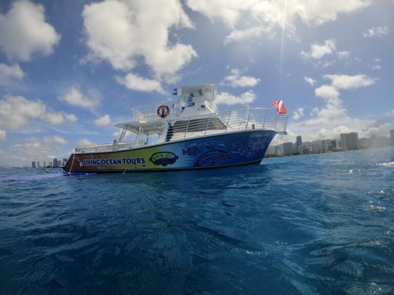 Oahu: BYOB or Cash Bar Waikiki Sunset Cruise - The Experience: More Than Just a Sunset