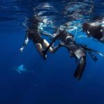 Oahu: Cageless Shark Dive Adventure - The Marine Life & Nature Around You
