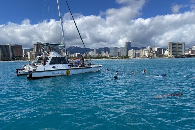 Oahu Catamaran Snorkel Tour: See Turtles 100% Guaranteed - The Itinerary in Detail