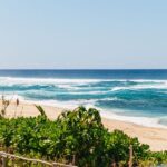 Oahu: Circle Island Tour with Lunch & Waimea Waterfall - The Experience of the Tour