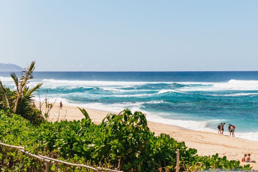 Oahu: Circle Island Tour with Lunch & Waimea Waterfall - The Experience of the Tour