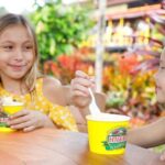 Oahu: Dole Plantation & Haleiwa Express Deluxe Tour - Final Thoughts