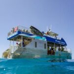 Oahu Dolphin Watch Cruise with Waterslide & Snorkeling - Key Points