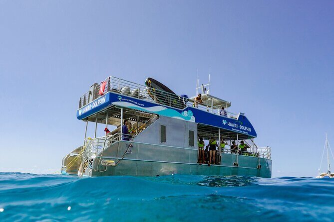 Oahu Dolphin Watch Cruise with Waterslide & Snorkeling - Key Points