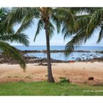 Oahu: Explore North Shore by E-Bike & Snorkel (Self-Guided) - Practical Details & Tips