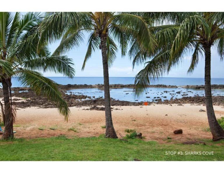 Oahu: Explore North Shore by E-Bike & Snorkel (Self-Guided) - Practical Details & Tips