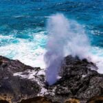 Oahu: Grand Circle Island Tour with Haleiwa - What’s Included and What’s Not