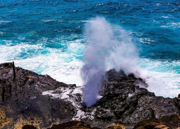 Oahu: Grand Circle Island Tour with Haleiwa - What’s Included and What’s Not