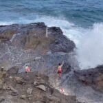 Oahu Guided Circle Island Tour, Swim w/ Turtles, Dole, Blowhole - Who Will Love This Tour?